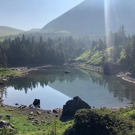 Appartement Weidli *