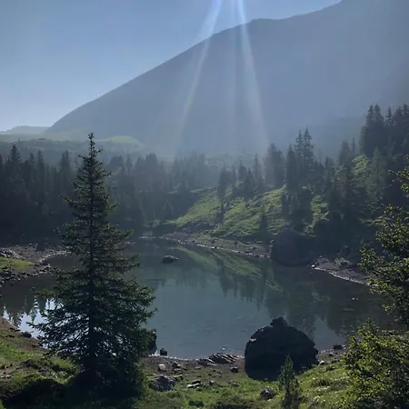 维德利木屋酒店 Achseten