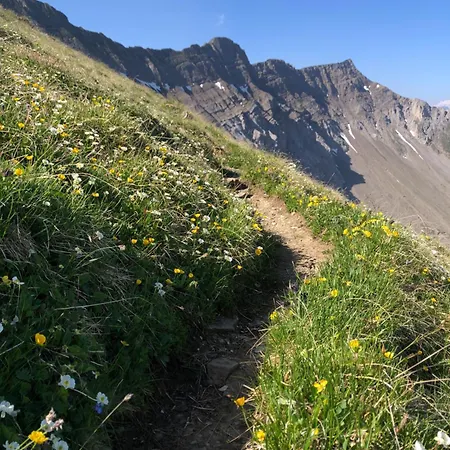维德利木屋酒店
