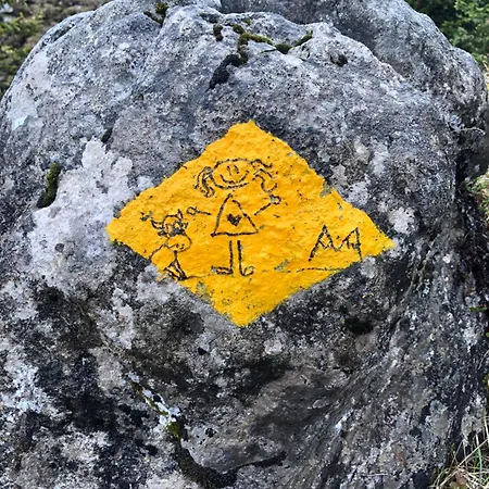 公寓 维德利木屋酒店 Achseten