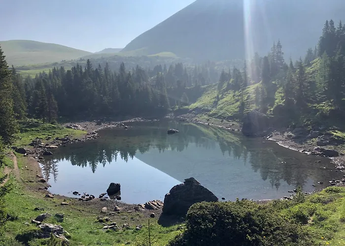 Appartement Weidli *